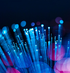 Champion ONE Merges with Approved Networks