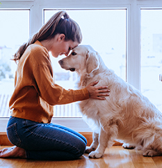 BrightPet Nutrition Group Accelerates Growth with Acquisition of MiracleCorp
