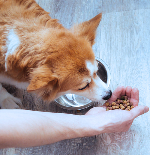 Worldwise, a Leading Pet Supplies Platform, Acquires Pet Factory, a leading Pet Chew and Treat Business