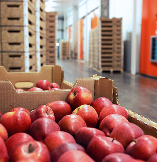 GS Foods Group Acquires Graves Foods – Expanding Operations in the Midwest